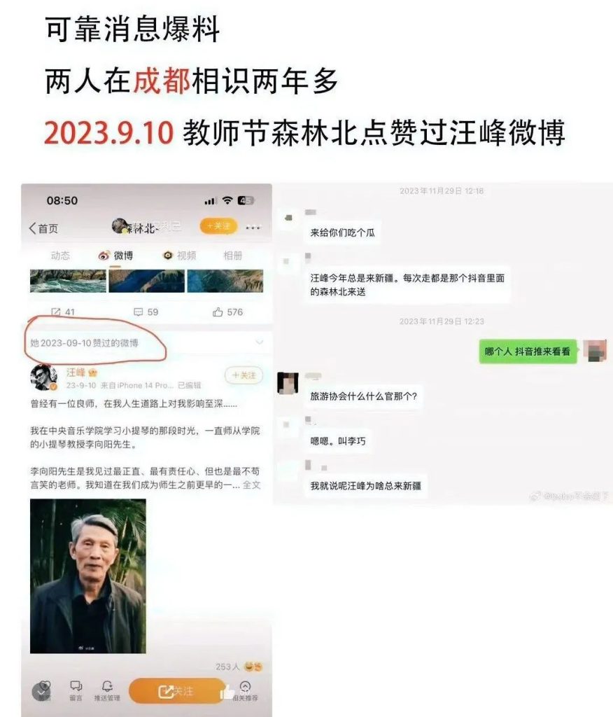 汪峰新女友森林北是谁-吃瓜网