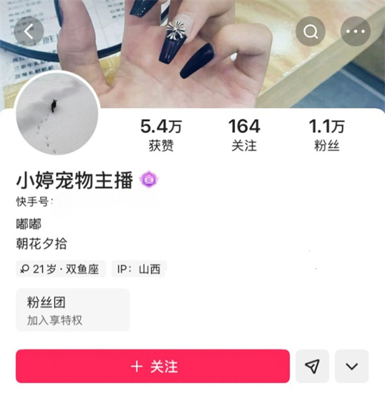 快手主播小婷 为圈钱毫无下限 直播强行与宠物金宝舌吻索要礼物 这波操作炸裂全网!-吃瓜网