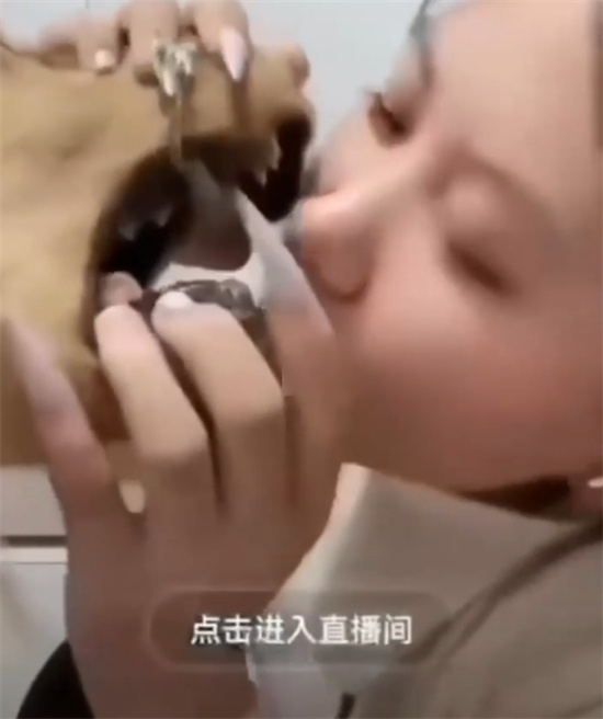快手主播小婷 为圈钱毫无下限 直播强行与宠物金宝舌吻索要礼物 这波操作炸裂全网!-吃瓜网