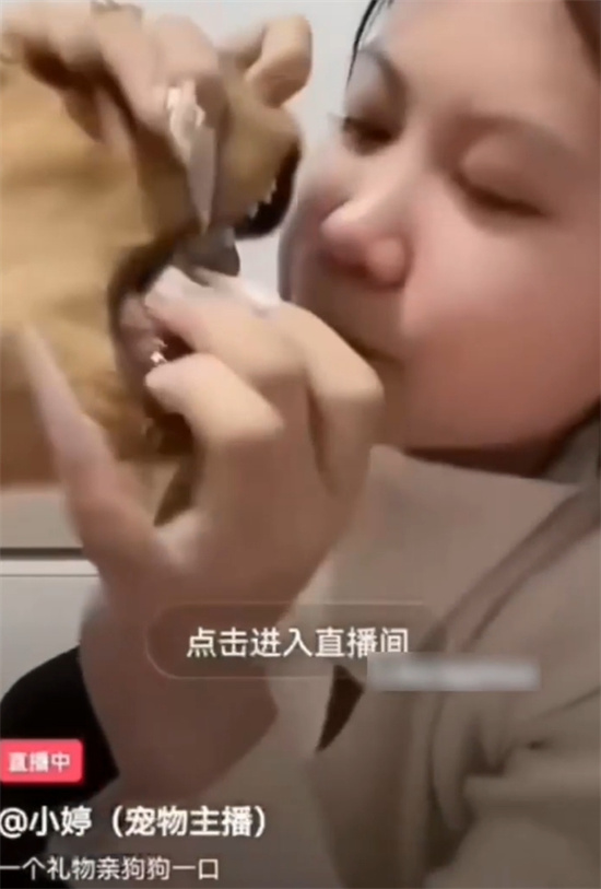 快手主播小婷 为圈钱毫无下限 直播强行与宠物金宝舌吻索要礼物 这波操作炸裂全网!-吃瓜网