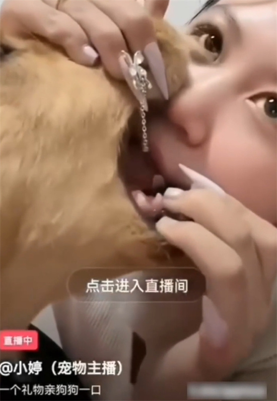 快手主播小婷 为圈钱毫无下限 直播强行与宠物金宝舌吻索要礼物 这波操作炸裂全网!-吃瓜网