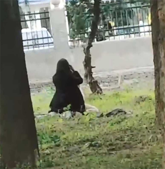 小情侣寻求刺激 竟大白天公园当众野战 女上男下疯狂摇臀 被路人多角度偷拍-吃瓜网