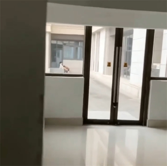 江苏某师范大学文学院 狗男女光天化日上演赤壁之战 男生将头埋入女友胯下舔-吃瓜网